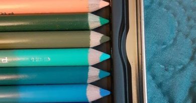 Why Coloured Pencils are Great for Your Art Projects